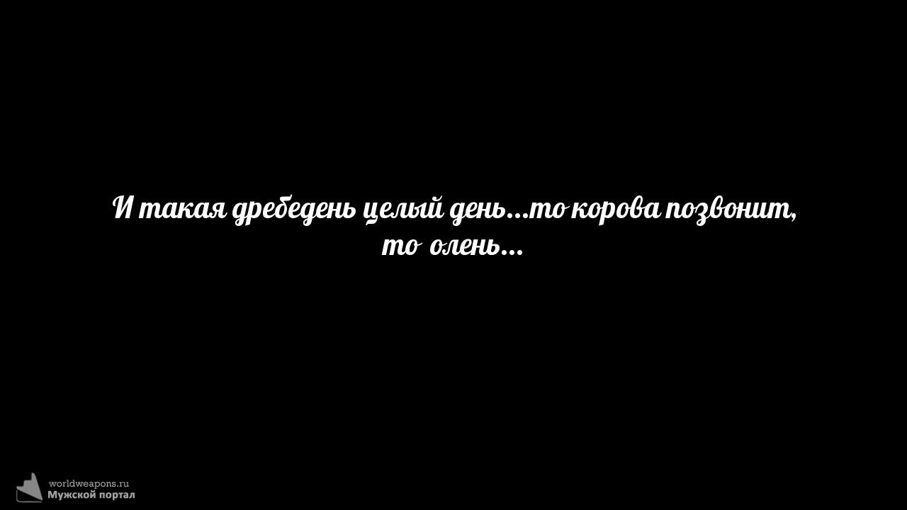 Фото-цитата
