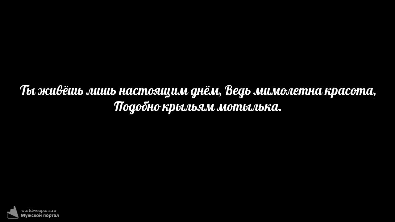 Фото-цитата